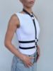 Immagine di Harness GAIA