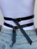 Immagine di Harness GAIA