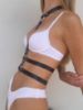 Immagine di Harness GAIA