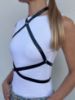 Immagine di Harness THEIA