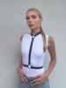 Immagine di Harness BASIS 