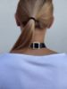 Immagine di Harness BASIS 