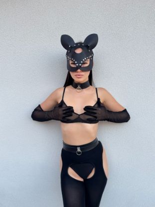 Immagine di Maschera da topo